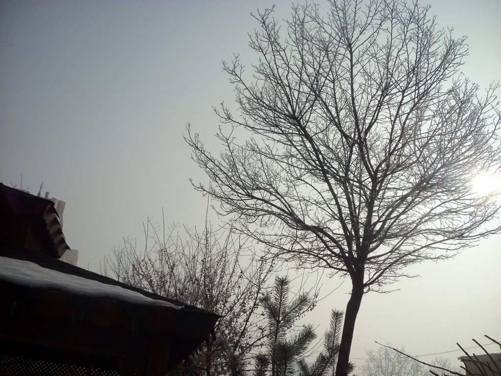 sisli bir sabah